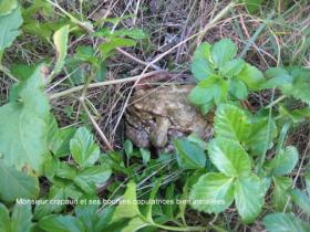 img-8152.jpg Image aléatoire