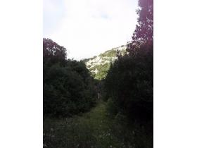 photo coins arrondis