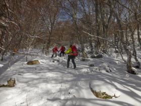 photo coins arrondis