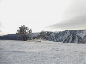 photo coins arrondis