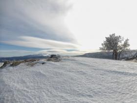 photo coins arrondis