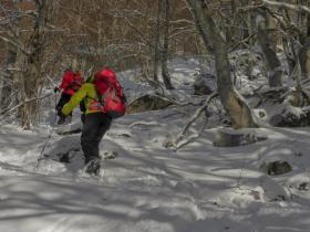 photo coins arrondis