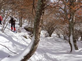 photo coins arrondis