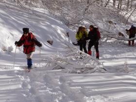 photo coins arrondis