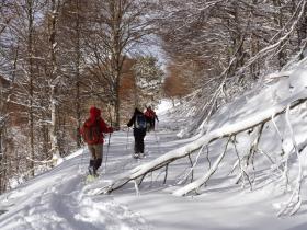 photo coins arrondis