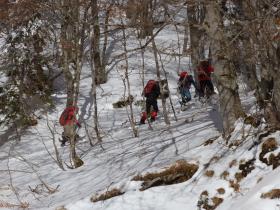 photo coins arrondis