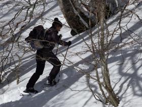 photo coins arrondis