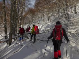 photo coins arrondis