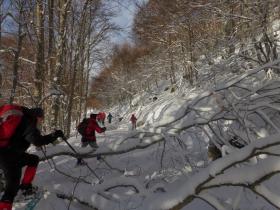 photo coins arrondis