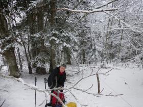 photo coins arrondis