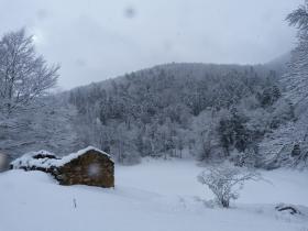 photo coins arrondis