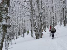 photo coins arrondis