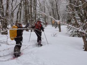 photo coins arrondis