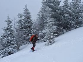 photo coins arrondis