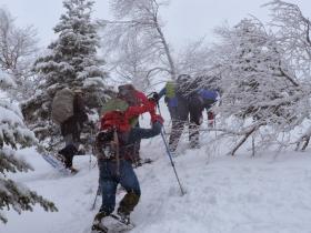 photo coins arrondis