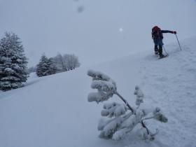 photo coins arrondis