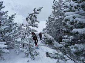 photo coins arrondis