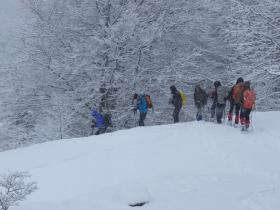 photo coins arrondis