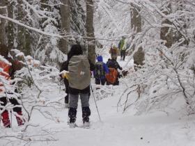 photo coins arrondis