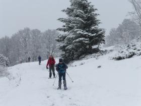 photo coins arrondis