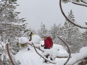 photo coins arrondis