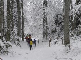 photo coins arrondis