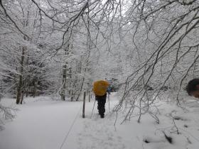 photo coins arrondis