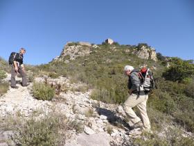 photo coins arrondis