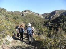 photo coins arrondis