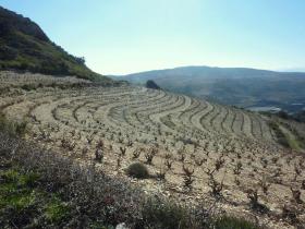 photo coins arrondis