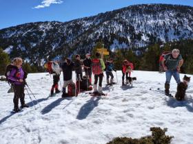 photo coins arrondis