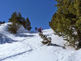 photo coins arrondis