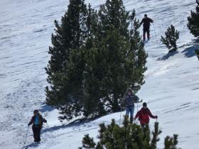 photo coins arrondis