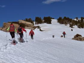 photo coins arrondis