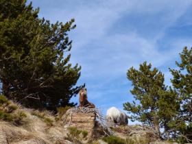 photo coins arrondis