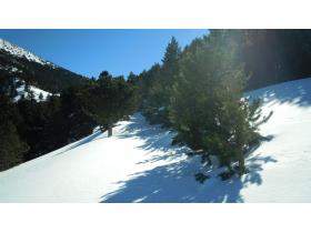 photo coins arrondis