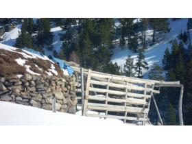 photo coins arrondis