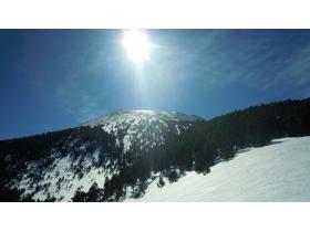 photo coins arrondis