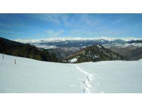 photo coins arrondis