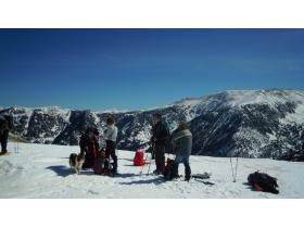 photo coins arrondis