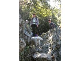 photo coins arrondis