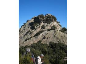 photo coins arrondis