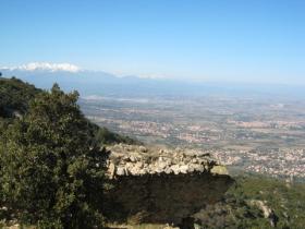 photo coins arrondis