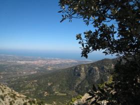 photo coins arrondis