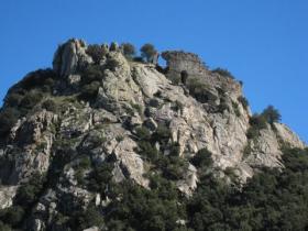 photo coins arrondis