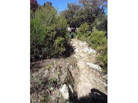 photo coins arrondis