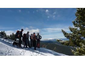 photo coins arrondis