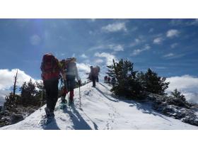 photo coins arrondis