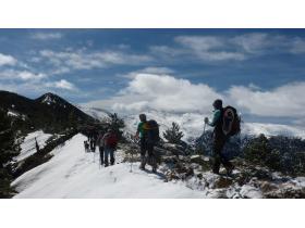 photo coins arrondis