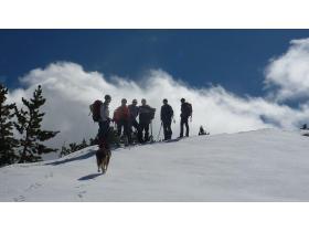 photo coins arrondis